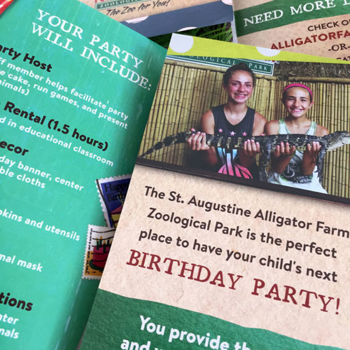 SAAF_Bdaybrochure_sample1