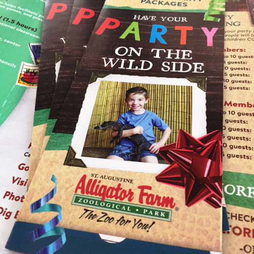 SAAF_Bdaybrochure_sample2