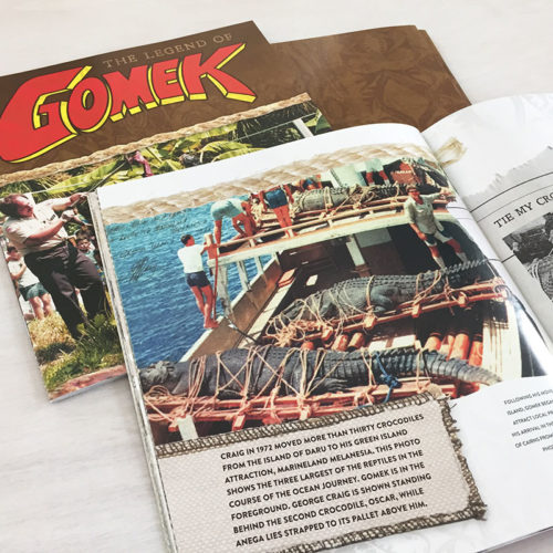 SAAF_GomekBook_sample1